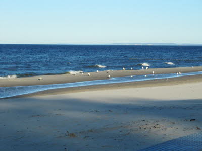 Strand